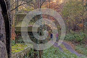 Old stone pillars in the forest overgrown with plants