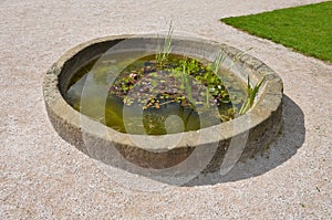 Old stone sandstone carved fountain converted into a pond with water lilies and irises. formerly a watering hole for horses. forma