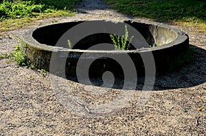 Old stone sandstone carved fountain converted into a pond with water lilies and irises. formerly a watering hole for horses. forma