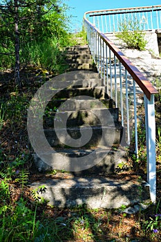 Old stone stair and surrounding vegetation