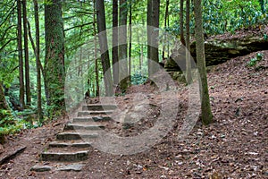 Old stone stair in the mystic woods