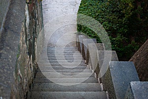 Old stone staircase in the background of green tree