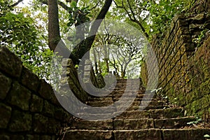 Old stone staircase construction in the middle of the Atlantic Forest