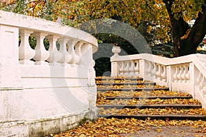 Old stone staircase with fallen leaves