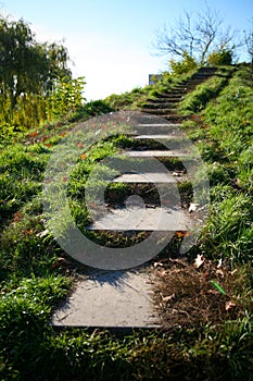 Old stone staircase in park