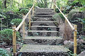 Old stone stairs in the forest