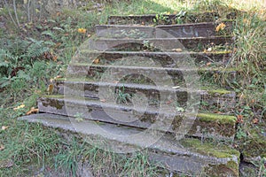 Old stone stairs overgrown with grass