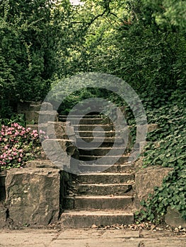 Old stone stairs in the park