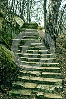 Old stone steps in the park