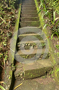 Old stone steps leading in to tropical jungle trekking and walki