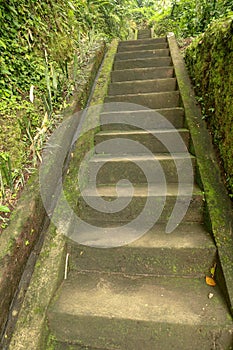 Old stone steps leading in to tropical jungle trekking and walki