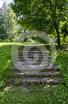 Old stone steps in the park summer background
