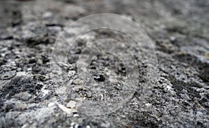 Old stone surface with blur effect