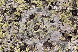 Old stone texture background mountaine rock surface with lichen