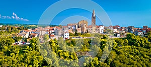 Old stone town of Buje on green hill panoramic view