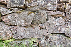 Old stone wall