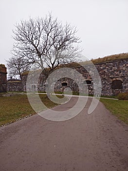 Old stone wall in autumn park