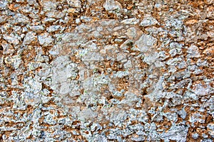 Old stone wall background, stone wall texture. Old broken stones, close-up