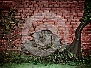 old stone wall in the garden with roots tree, Ai Generated