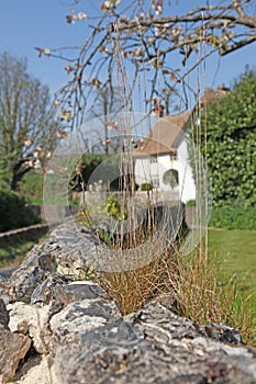 Old Stone Wall in Gittisham, England