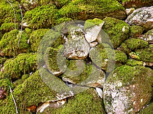 Old stone wall with green moss front view