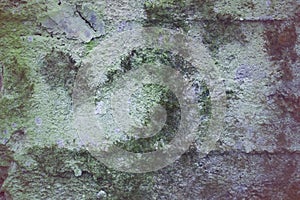Old stone wall with moss and mold