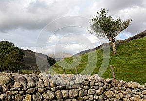 Old stone wall in Lake District