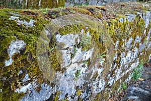 Old stone wall with moss and lichen