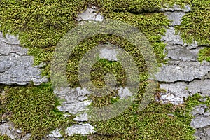 Old stone wall with moss and lichen