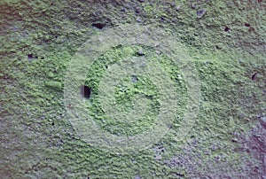 Old stone wall with moss and mold