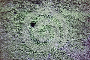 Old stone wall with moss and mold