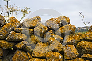 Old stone wall, moss and mold on the stone