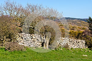 Stone wall