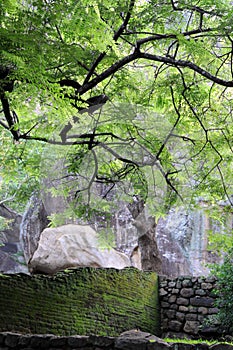 Old stone wall and stairs in the fortress of Sigiriya.