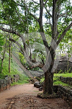 Old stone wall and stairs in the fortress of Sigiriya.