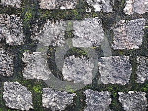 Old stone wall texture with moss background