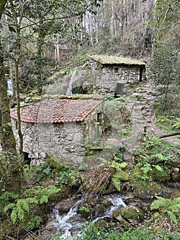 Old stone watermills in the woods of Aloia Mountain Natural Park near Tui, Galicia, Spain, March 2023