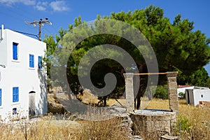 An old stone well stands against the background of Pinus pinea in August in Pefkos or Pefki, Rhodes Island, Greece photo