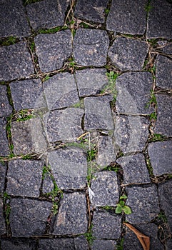 Old stoneblock pavement cobbled with square granite blocks with grass sprouted texture with vignette. background, nature.