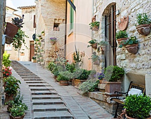 Old street with flowers, Spello, Umbria, Italy