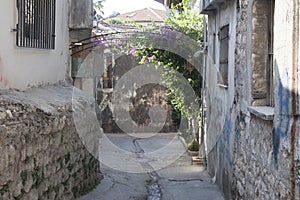 An Old Street in Green