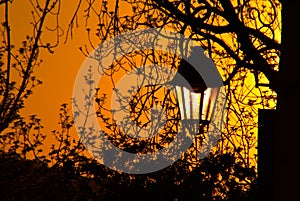 Halloween street lamp