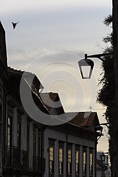 Old street lamp, with buildings in the background. Pigeon flying. Sunset and clouds in the sky. Porto, Portugal