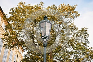 Old street lamp and foliage of autumn tree in the morning