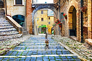 Old streets of Italian villages. Casperia in Rieti,Lazio.