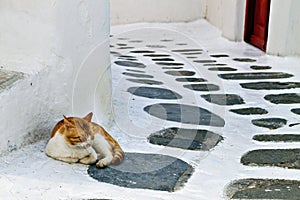 Old streets st Mykonos island