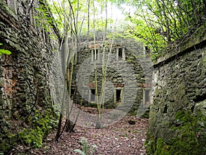 The old stronghold overgrown vegetation