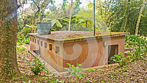 Isla fondo de escritorio a fotografías rosa casa sobre el jardín 