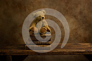 Old stuffed bear on wooden shelf