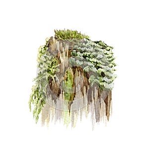 Old stump with moss. Watercolor realistic illustration. Tree rotten trunk with green moss and grass. Old wood stump with